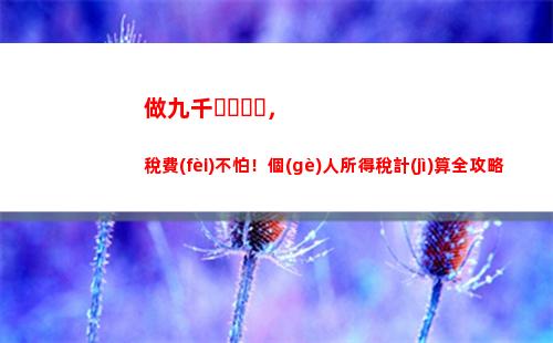 南京個(gè)人所得稅計(jì)算器(南京個(gè)人所得稅app下載)